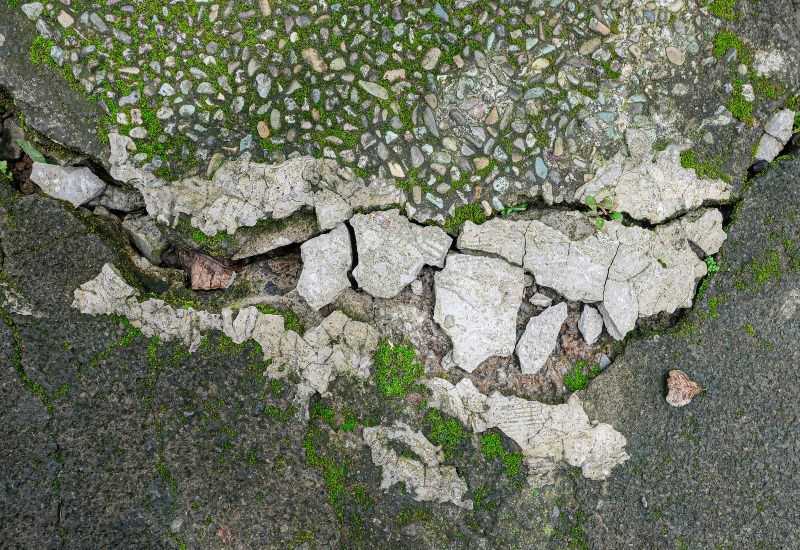 Cracked concrete surface with exposed aggregate and patches of green moss in Texas & Louisiana